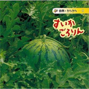 （バーゲンブック） すいかごろりん-自然・きらきら9